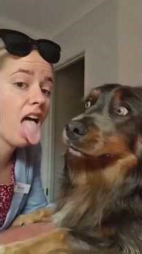 I Acting Like My Dog to See His Reaction