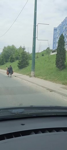 Visit Bosnia and Herzegovina (@visit_bosna)’s videos with Karabaja - Zabranjeno Pušenje