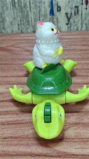 Kitty vs. Turtle: The Ultimate Showdown! 😂🐢