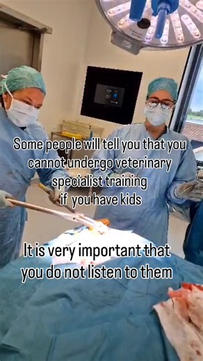 Elena | Small Animal Surgeon, BVM&S, Dip. ECVS, PhD. on Instagram: "I recently came across a discussion about specialist training and candidate selection that honestly stopped me in my tracks. Seeing female-specific rights and responsibilities, though not explicitly labelled, highlighted as “hindrances” was deeply disheartening. And yet, it is a sobering reminder that unconscious misogyny persists, even in the places you would least expect it. So here’s why I’m writing this: You are the only one