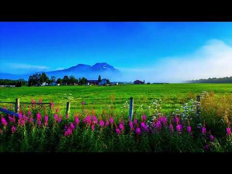 Sound of Silence - Trompete Fernando Lopez