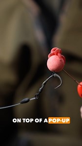 38K views · 382 reactions | The easiest way to attach maggots to your hook bait ?! When nuisance fish aren't a problem its pretty hard to beat a maggot hook bait here's Deans preferred way of getting a lovely ball of maggots onto a pop up  | Fox International | Facebook