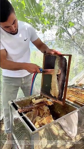 Comb and Cut: A Worker Slices Honey from the Frames