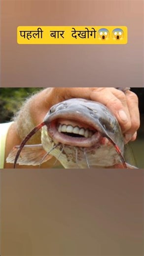 दुनिया के अजीबो गरीब जानवर😱😱☠️ #amazing #facts hindi