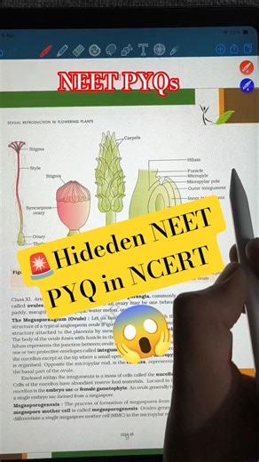👉In this image of NCERT , types of ovaries in plants are asked in many PYQs. #neet2026 #neetbiology