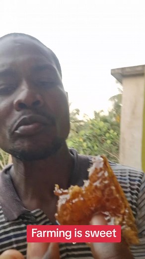 Discover the Sweet World of Honey Farming