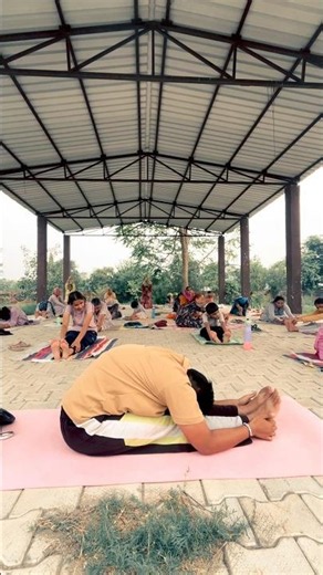 Morning Yoga Stretch 🧘‍♂️ | Full Body Flexibility Routine | Group Yoga Practice 🌿