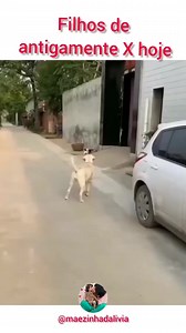 Djalma Sena on Reels