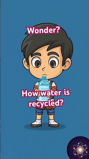 How does water recycled in environment? (The Water Cycle)