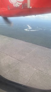 550K views · 7.8K reactions | Sur l'île de Sumatra en Indonésie, des milliers d'hectares de forêts tropicales sont rasées par des grands propriétaires pour installer des plantations destinées à produire de l'huile de palme. Un désastre envrionnemental pour la biodiversité, les sols et le climat. Via therealtarzann | Mr Mondialisation | Facebook