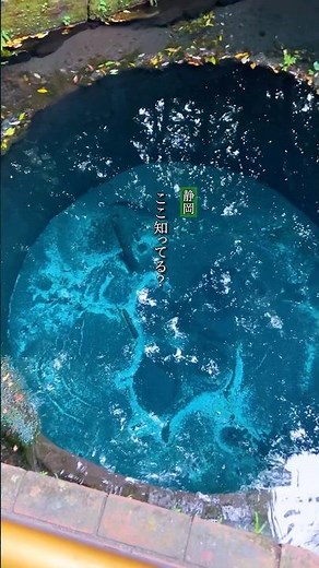 【名水100選】日本一の湧水量を誇る絶景川 #shorts