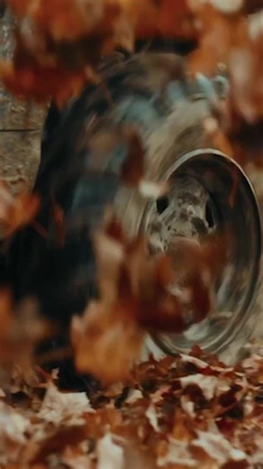 Maine's rugged natural beauty sets the scene. You choose the adventure. | Visit Maine