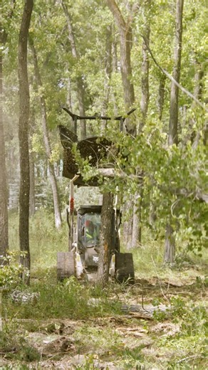 85K views · 583 reactions | Brush, overgrowth, tough terrain—nothing stands a chance. The Bobcat disc mulcher clears it all with powerful cutting and mulching action. #WeAreBobcat #AttachmentOfTheWeek #DiscMulcher | Bobcat Company | Facebook