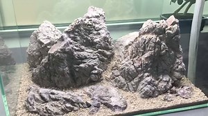 6.7K views · 178 reactions | Thrilled to be working with our first layout in a stunning 45cm Ultum Nature Systems tank. We stock the full line at TheAquariumDesignStore and can easily say they are the finest rimless production tanks we have ever seen! A simple planting of riccardia will bring the green in this one, without the need for soil substrate. | Aquarium Design Group | Facebook