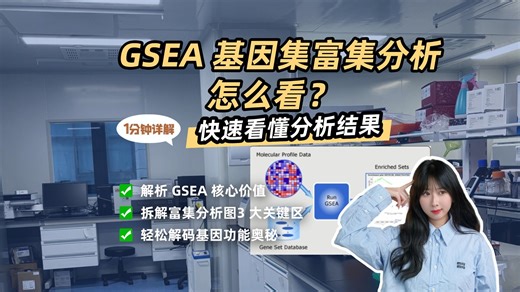 GSEA 秒杀 GO/KEGG，差异基因多少都能挖透💥 gsea富集分析图怎么看|gsea富集分析怎么做|gsea软件怎么用|gsea富集分析在线工具 |gs