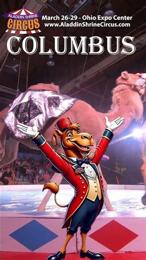 🎪🔥 BIG TOP. BIGGER THRILLS. 🔥🎪