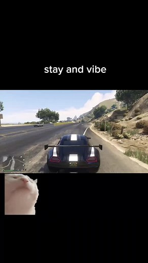 lady. #gta5 #gtavonline #gta #clips #gaming #games #foryou #foryoupage #fyp #fypシ