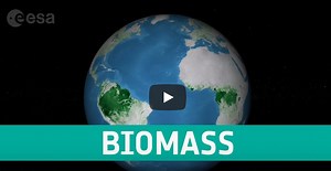 3.4K views · 128 reactions | Fluctuations in the carbon-rich biomass...