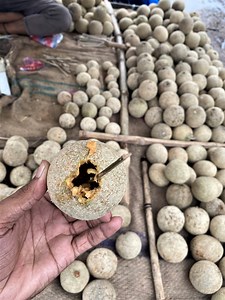 45M views · 10K reactions | Wood Apple Mouth watering masala Kod Bel | Bengali Street Food | Street Food Vlog | Facebook