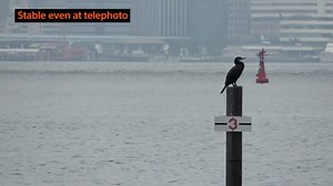 Watch Sony FDRAX53/B 4K HD Video Recording Camcorder on Amazon Live