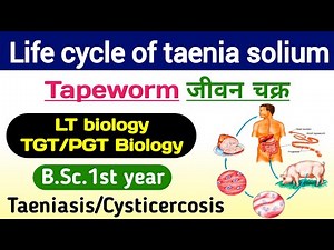 Taenia solium Lifecycle | life cycle of taenia solium | Tapeworm | Taenia solium ka jivan chakra
