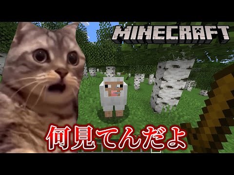 猫ミーム素材だけでゲーム実況した結果【マイクラ】#猫ミーム #猫マニ