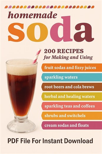Fizzy Drink & DIY Beverage Recipes