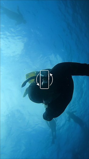 Pluff Mud Outfitters on TikTok