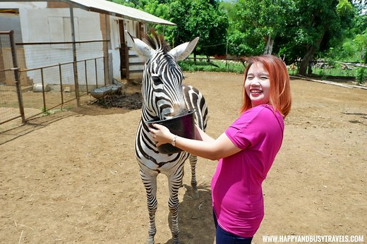 Yoki's Farm, Mendez Cavite - Happy and Busy Travels