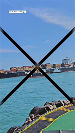 MY DREAM MERCHANT NAVY ⚓⛴️🌊#merchant #navy #msc #ship