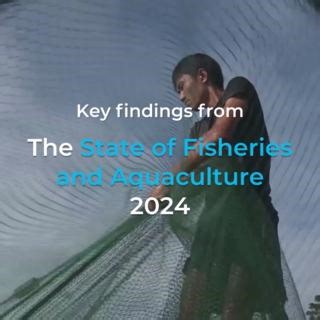 3.7K views · 126 reactions | In 2022, aquaculture overtook capture fisheries as a main producer of aquatic animals. Food and Agriculture Organization of the United Nations (FAO)'s Assistant Director-General, Manuel Barange explains why this holds great potential for addressing global food security and nutrition. #COFI36 #SOFIA2024 #BlueTransformation | Food and Agriculture Organization of the United Nations (FAO) | Facebook