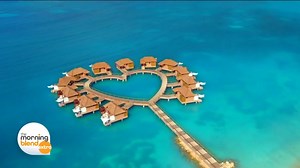 12 reactions | Island Getaways is your one stop shop for destination weddings, honeymoons, family getaways, birthday parties and more! They know how to get the best the resorts have to offer. From airport transfers to booking excursions, Island Getaways can plan it all for you. myislandgetaways.com ☎262-781-1748 info@myislandgetaways.com #tmj4sponsor, #myislandgetaways, #destinationwedding, #honeymoon, #travel, #caribbean, #vacation, #beaches, #suninthefun | TMJ4 News | Facebook