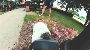 41K views · 550 reactions | Speed tour of Adrian College… GO!  | The Cavaliers | Facebook