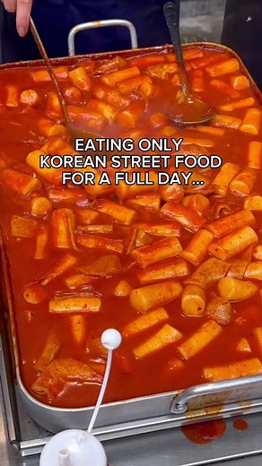 Eating Korean street food for a full day… first time trying tanghulu too! #fyp #foryoupage #food #eating #mukbang #whatieatinaday #streetfood #korean #korea @Bloom Nutrition #bloompartner #tteokbokki