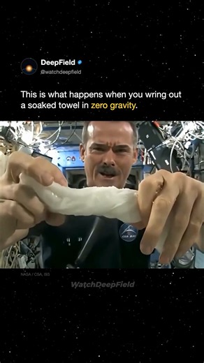 What Happens if You Wring Out a Wet Towel in Space?