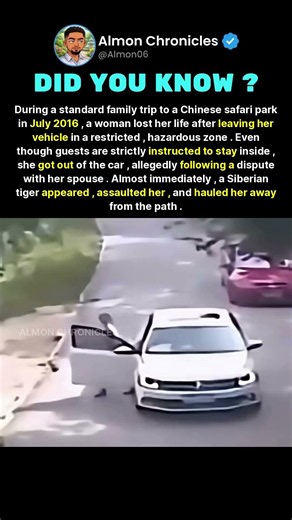 During a standard family trip to a Chinese safari park in July 2016, a woman los...
