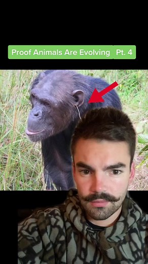 1.5M views · 10K reactions | I’m convinced octopuses are from another planet… #nature #facts | Morbid Facts | Facebook