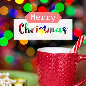 The Sunnyway family has the foods to make your Christmas holiday special. | Sunnyway Foods