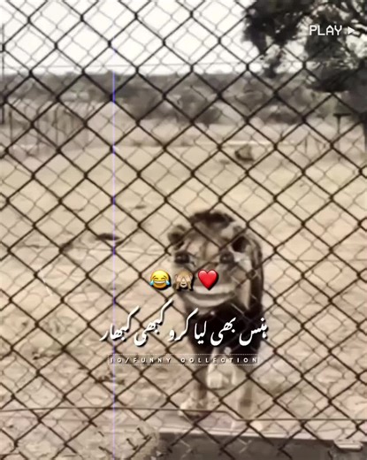 Please don't remove and review my vedios 🥺💔~ #fouryou #foryoupage #funny #funnyvideos #viralvideo @TikTok Pakistan