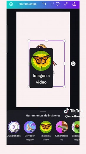 Convierte Ilustraciones en Animaciones con Canva
