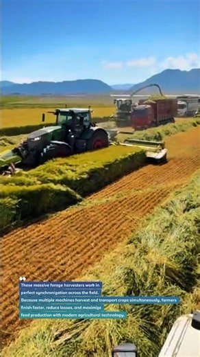 Massive Harvest Machines Increase Farm Output #ForageHarvester #SmartFarming #AgricultureTechnology
