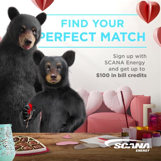 Find savings you'll love with SCANA Energy. | SCANA Energy