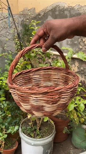 Skilled Village Craft: Handmade Wooden Basket