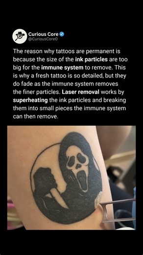 Why Tattoos Are Permanent 🪡