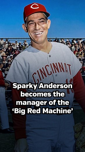 Baseball Brew Crew on TikTok