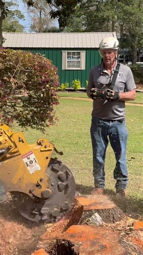 Same Day Stump Grinding Salt Lake Valley 801-893-1995 Call for Fast Service South Jordan