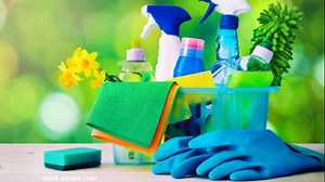 Queen of Free's spring cleaning strategies