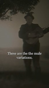 107K views · 3.3K reactions | My wife said, "I didn't marry a man, I married a Mule." Listen to the full Mule Variations companion release, Mule Conversations, featuring additional recordings and an interview with Jody Denberg. Available now on YouTube: https://www.youtube.com/watch?v=BIhkq1CewdE | Tom Waits | Facebook