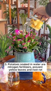 5 important irrigation water formulas #garden #gardening #plants #planting #planthacks #gardenhacks #gardeningmakemehappy #gardeningtips #gardeningideas #gardeninspiration #gardenlove | Garden Tips