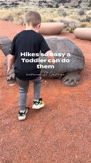 Hikes so easy a toddler can do them 🥾 We love hiking and love even more the ones that are toddler friendly! Here are a few we have found that are easy enough for toddlers to do a majority of the hikes: Desert Tortoise Walk - Snow canyon state park; .3 miles Red Cliffs Trail - Leeds; 1.5 miles Jenny’s Canyon - Snow Canyon State Park; .5 miles Pioneer Park/Dixie Rock - St George, scrambling and wandering Petrified Sand Dunes - Snow Canyon State Park; follow the trail or scramble and wander Sandst